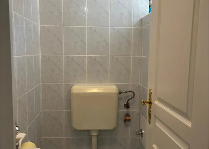 Fekete Szakall Nyaralo *